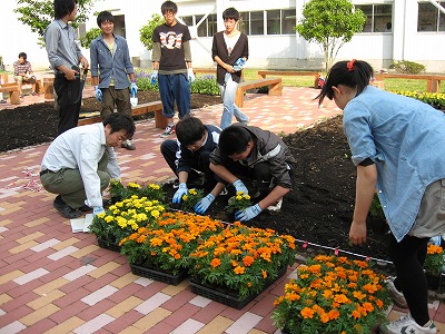 岡谷南高校：放課後の中庭で、多くの生徒が協力し合い、マリーゴールドの苗を植栽している活気ある風景。