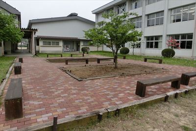 岡谷南高校：中庭のインターロッキング通路に沿って、等間隔に配置された整美後の木製ベンチ。