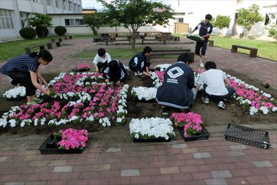 岡谷南高校：中庭の花壇に、生徒たちが膝をついてピンクや白のペチュニアの苗を一つずつ丁寧に植えている作業風景。