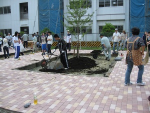 岡谷南高校：中庭の植栽整備。一輪車で運んできた土を花壇に入れ、シンボルツリーの周りを整えている生徒と関係者の様子。